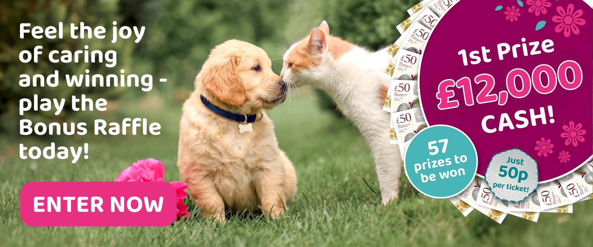 PDSA Banner Q2 2026